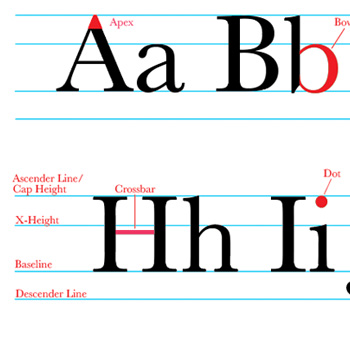 Typeography Project